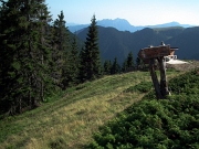 99 alla Madonna delle nevi per la Foresta Azzaredo Casù